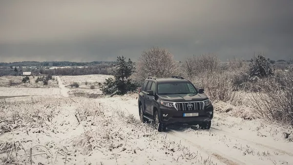 VSAT atnaujono autoparką - Sputnik Lietuva