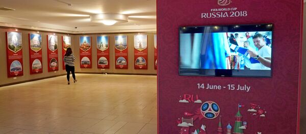 Центр болельщиков чемпионата мира по футболу в Русском доме - Sputnik Литва