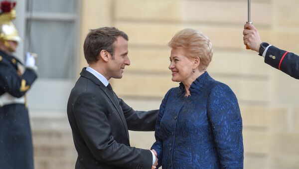 Lietuvos prezidentė Dalia Grybauskaitė su Prancūzijos prezidentu Emmanueliu Macronu - Sputnik Lietuva
