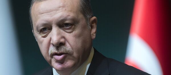 Рабочий визит В.Путина вТурцию - Sputnik Литва