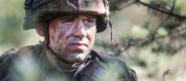 Lietuvos karys Lietuvos karys - Sputnik Lietuva