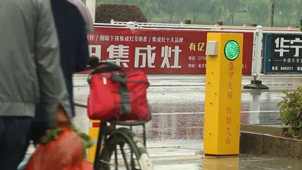 В Китае установили светофор, поливающий водой пешеходов-нарушителей - Sputnik Литва
