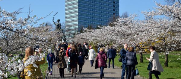 Парк сакуры Тиунэ Сугихары в Вильнюсе, 22 апреля 2018 года - Sputnik Литва