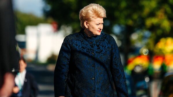 Lietuvos prezidentė Dalia Grybauskaitė - Sputnik Lietuva