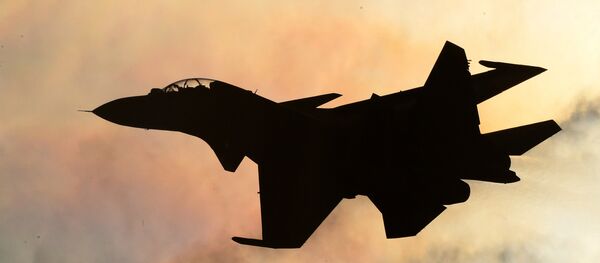 Многоцелевой истребитель Су-30СМ, архивное фото Многоцелевой истребитель Су-30СМ, архивное фото - Sputnik Литва