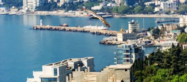 Весна в Крыму, Ялта - Sputnik Литва