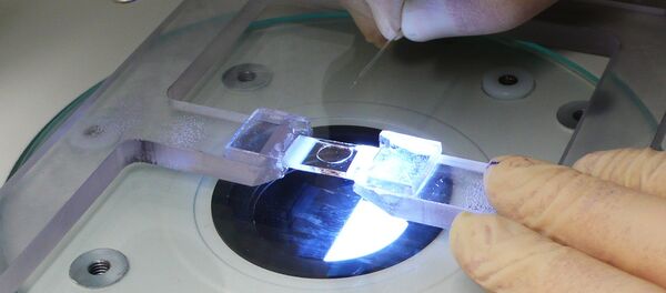 Работа центра геномного редактирования МГУ - Sputnik Lietuva