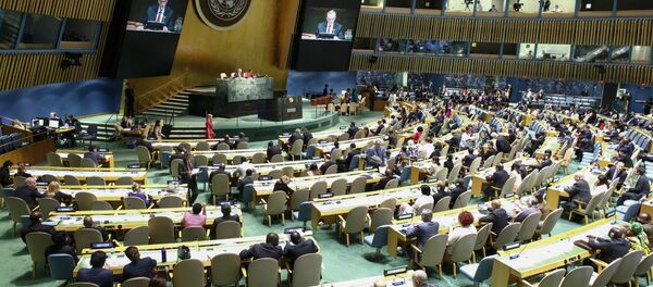 Заседание ООН в Нью-Йорке - Sputnik Lietuva