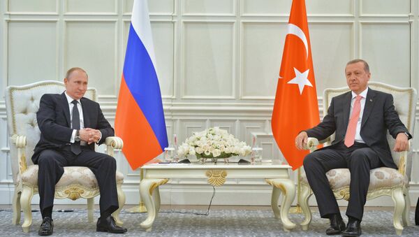 Рабочий визит президента РФ В.Путина в Азербайджан. День второй - Sputnik Литва