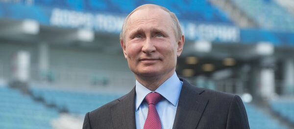 Президент РФ Владимир Путин во время осмотра стадиона Фишт после реконструкции - Sputnik Литва