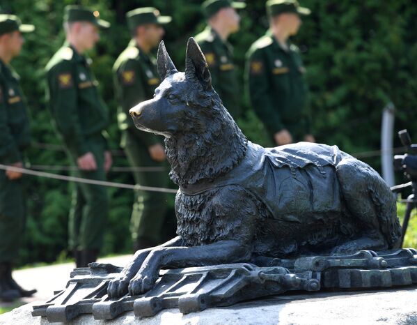 У памятника фронтовой собаке на Поклонной горе в Москве - Sputnik Литва