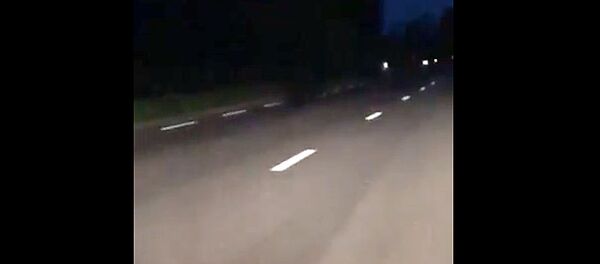 Приключения нелегала: в соцсетях рассказали о прогулке медведя по Литве Приключения нелегала: в соцсетях рассказали о прогулке медведя по Литве - Sputnik Литва