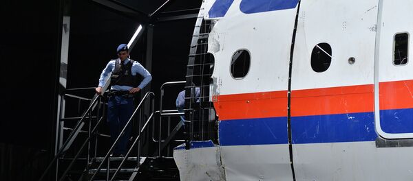 Обломки самолета Boeing 777 Malaysia Airlines (рейс MH17) в Нидерландах, архивное фото - Sputnik Литва