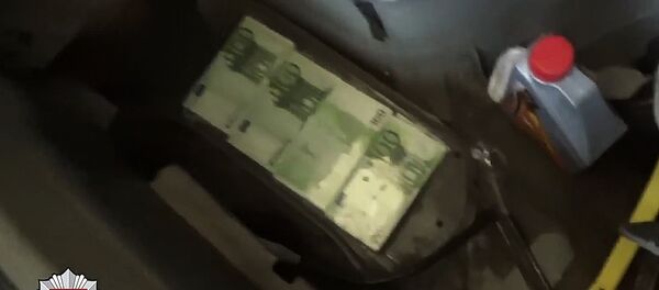 Netikri pinigai Netikri pinigai - Sputnik Литва