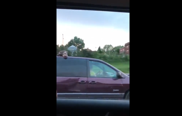 Кот-экстремал проехал на крыше автомобиля при скорости 100 км/ч - Sputnik Литва