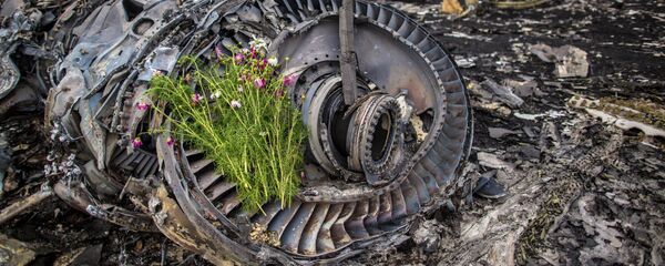 Цветы на двигателе лайнера Boeing 777 Малайзийских авиалиний, архивное фото - Sputnik Литва