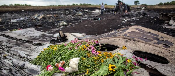 Цветы на фюзеляже лайнера Boeing 777 Малайзийских авиалиний - Sputnik Литва