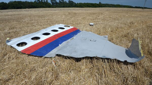 Обломки потерпевшего крушение малайзийского Boeing 777 в Донецкой области   - Sputnik Литва