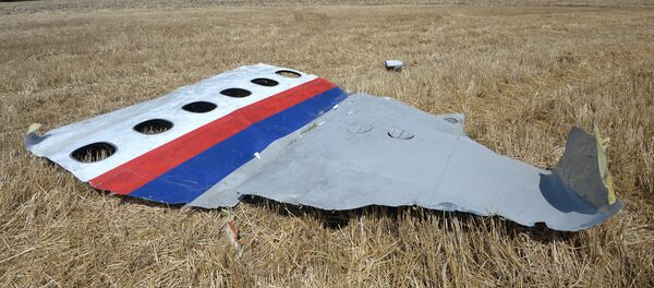Обломки потерпевшего крушение малайзийского Boeing 777 в Донецкой области   - Sputnik Литва