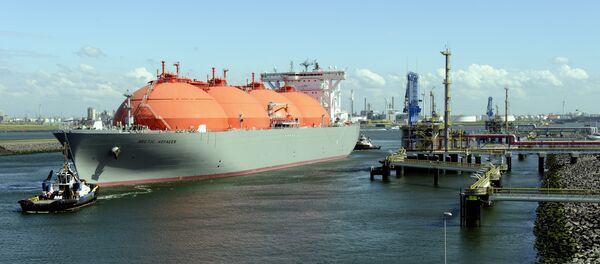 Dujovežis Arctic Voyager Dujovežis Arctic Voyager - Sputnik Lietuva