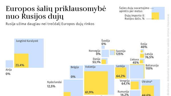 Europos šalių priklausomybė nuo Rusijos dujų - Sputnik Lietuva