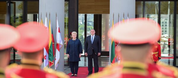 Встреча президента Литвы Дали Грибаускайте и президента Грузии Георгия Маргелашвили, 25 мая 2018 - Sputnik Литва