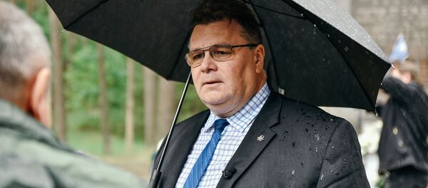 Министр иностранных дел Литвы Линас Линкявичус - Sputnik Литва