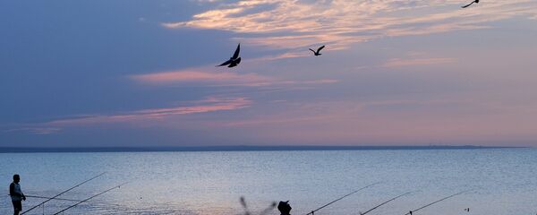 Регионы России. Крым Регионы России. Крым - Sputnik Литва