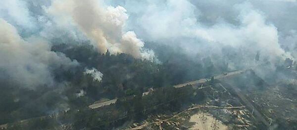 Возгорание в Чернобыльской зоне отчуждения - Sputnik Литва