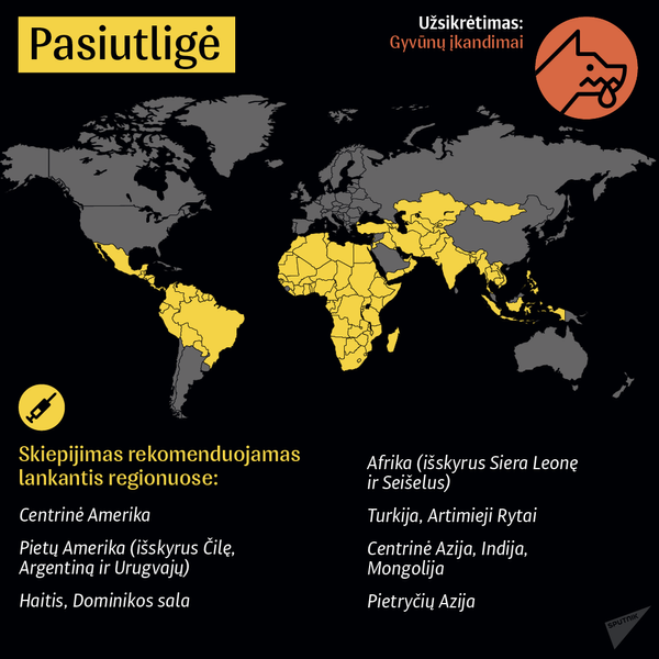 Skiepai keliautojams Skiepai keliautojams - Sputnik Lietuva