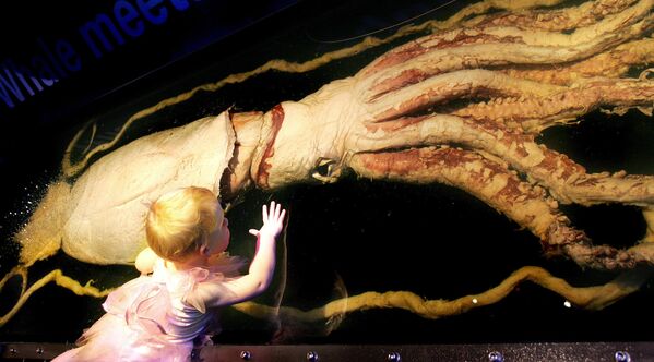 Трехлетняя девочка рядом с гигантским кальмаром, представленном на выставке морских жителей в музее Мельбурна - Sputnik Литва