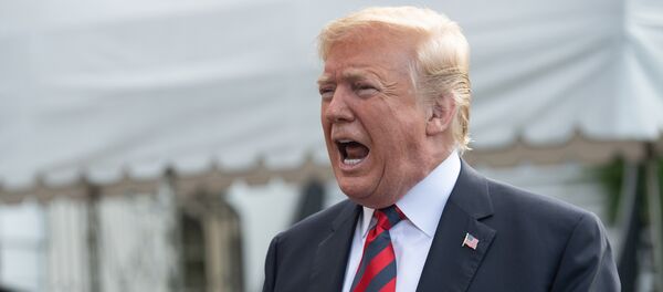 Президент США Дональд Трамп - Sputnik Литва