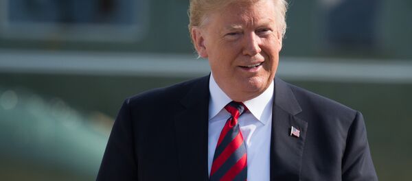 Президент США Дональд Трамп - Sputnik Литва