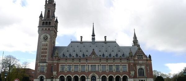 Дворец Мира в Гааге — официальная резиденция Международного суда ООН и Постоянной палаты третейского суда, архивное фото Дворец Мира в Гааге — официальная резиденция Международного суда ООН и Постоянной палаты третейского суда, архивное фото - Sputnik Литва