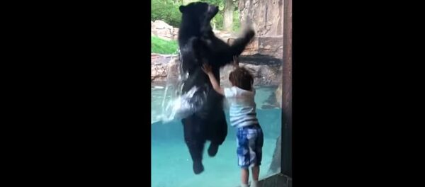 Медведь прыгает в зоопарке с мальчиком Медведь прыгает в зоопарке с мальчиком - Sputnik Литва