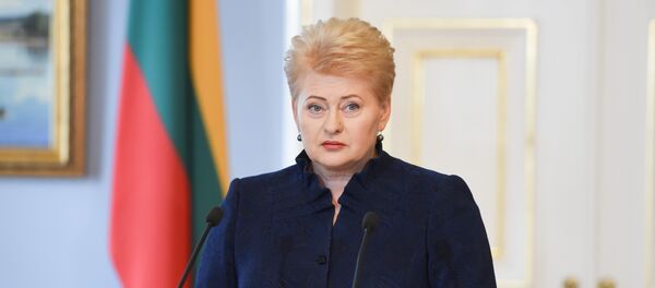 Президент Литвы Даля Грибаускайте наложила вето на новый Трудовой кодекс - Sputnik Литва