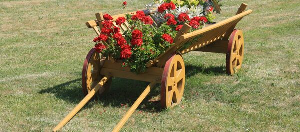 Kaimo sodyba - Sputnik Lietuva