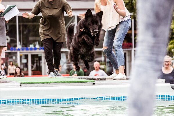 Šunų šuolių į vandenį turnyras Šlapia uodega - Sputnik Lietuva