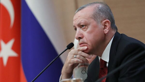 Президент Турции Реджеп Тайип Эрдоган, архивное фото - Sputnik Литва