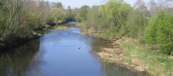 Река Левуо в Литве, архивное фото - Sputnik Литва