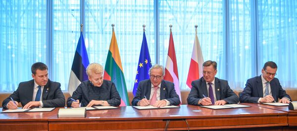 Страны Балтии, Польша и ЕК подписывают соглашение о синхронизации электросетей - Sputnik Литва