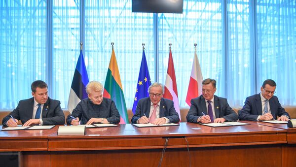 Страны Балтии, Польша и ЕК подписывают соглашение о синхронизации электросетей - Sputnik Литва