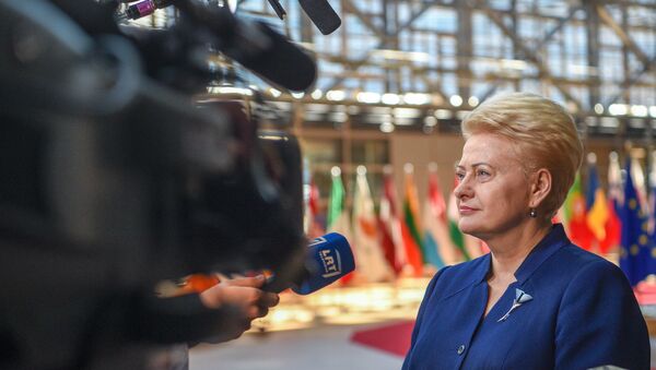 Грибауйскате принимает участие в заседании Европейского совета - Sputnik Lietuva
