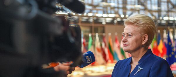 Грибауйскате принимает участие в заседании Европейского совета Грибауйскате принимает участие в заседании Европейского совета - Sputnik Lietuva