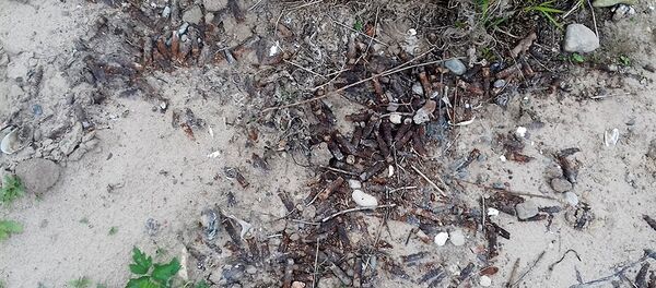 На границе с РФ рыбак нашел гранаты - Sputnik Литва