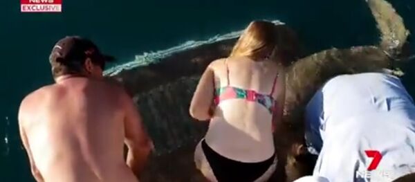 Australijoje ryklys bandė nutempti moterį į vandenį Australijoje ryklys bandė nutempti moterį į vandenį - Sputnik Lietuva