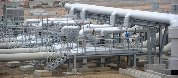 Открытие газопровода Северный поток - Sputnik Литва