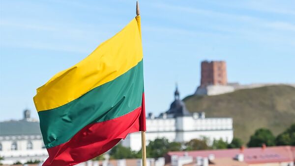 Литовский флаг на фоне Вильнюса, архивное фото - Sputnik Литва