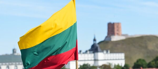Литовский флаг на фоне Вильнюса, архивное фото - Sputnik Литва