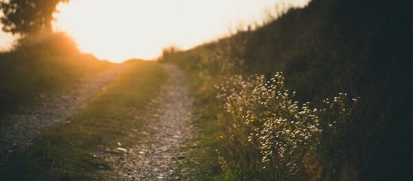 Гравийная дорога - Sputnik Литва